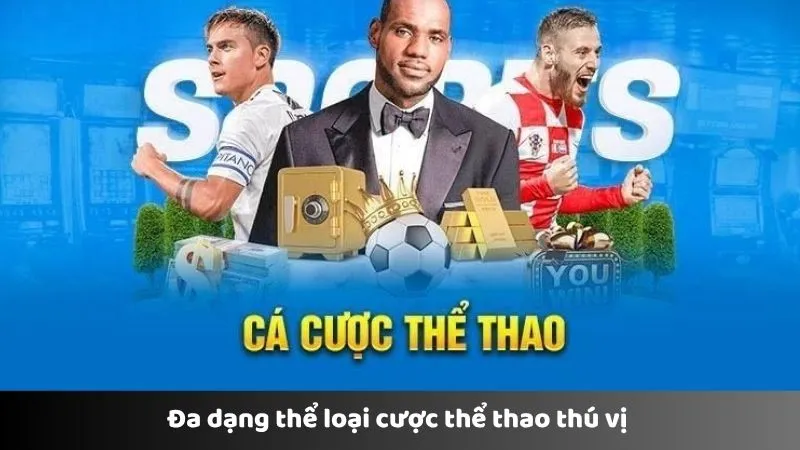 Đa dạng thể loại cược thể thao thú vị