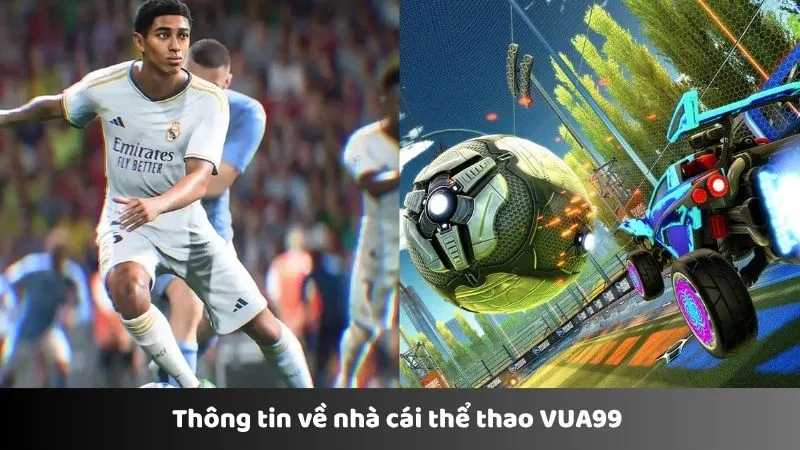 Thông tin về nhà cái thể thao VUA99