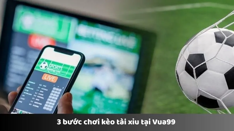3 bước chơi kèo tài xỉu tại Vua99 