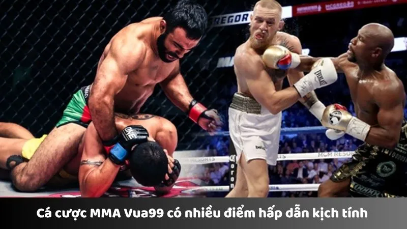 Cá cược MMA Vua99 có nhiều điểm hấp dẫn kịch tính