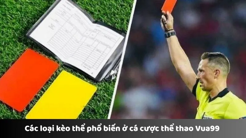 Các loại kèo thể phổ biến ở cá cược thể thao Vua99