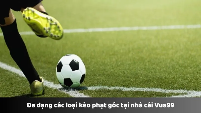 Đa dạng các loại kèo phạt góc tại nhà cái Vua99