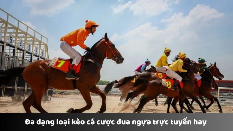 Đa dạng loại kèo cá cược đua ngựa trực tuyến hay