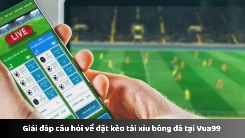 Giải đáp câu hỏi về đặt kèo tài xỉu bóng đá tại Vua99 