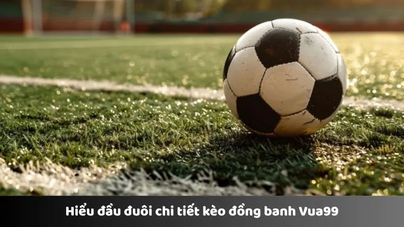 Hiểu đầu đuôi chi tiết kèo đồng banh Vua99
