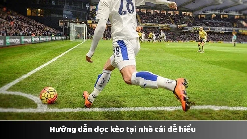 Hướng dẫn đọc kèo tại nhà cái dễ hiểu 