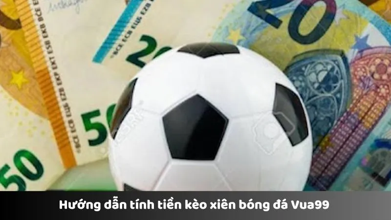 Hướng dẫn tính tiền kèo xiên bóng đá Vua99 