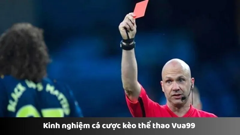 Kinh nghiệm cá cược kèo thể thao Vua99 