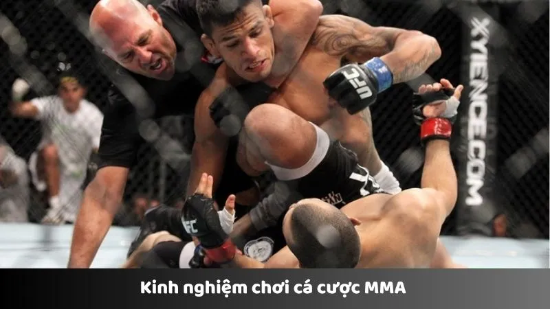 Kinh nghiệm chơi cá cược MMA 