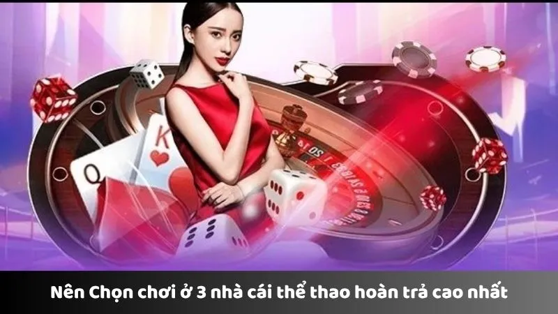 Nên chọn chơi ở 3 nhà cái thể thao hoàn trả cao nhất