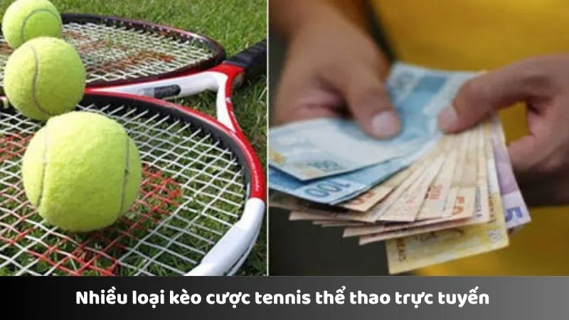 Nhiều loại kèo cược tennis thể thao trực tuyến 