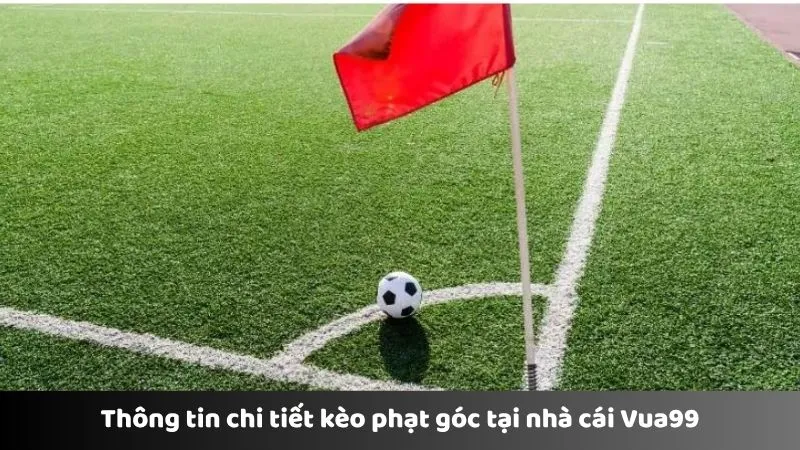 Thông tin chi tiết kèo phạt góc tại nhà cái Vua99
