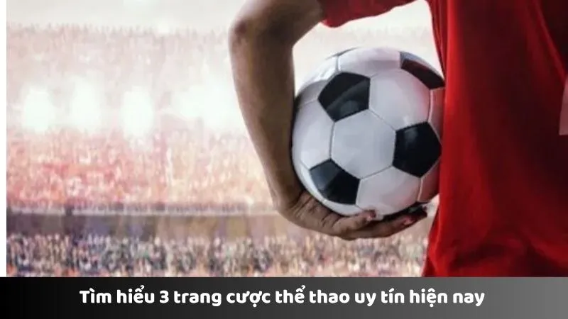 Tìm hiểu 3 trang cược thể thao uy tín hiện nay 