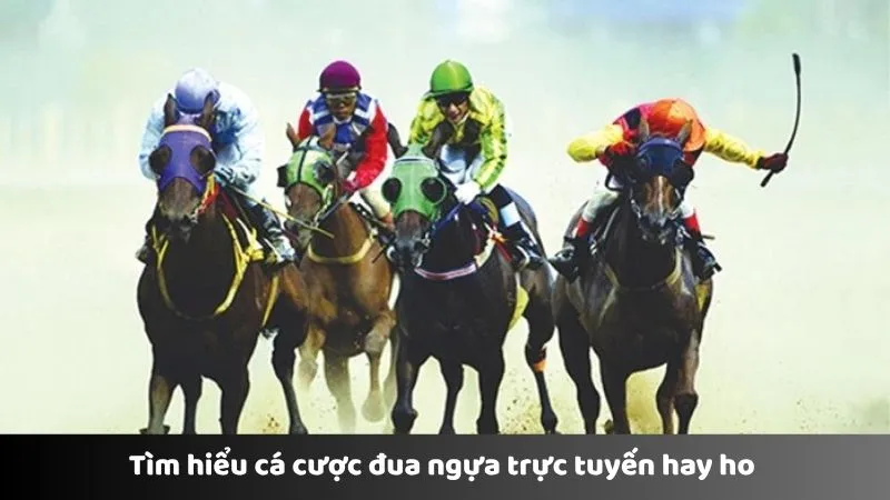 Tìm hiểu cá cược đua ngựa trực tuyến hay ho 