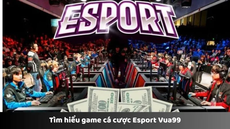 Tìm hiểu game cá cược Esport Vua99