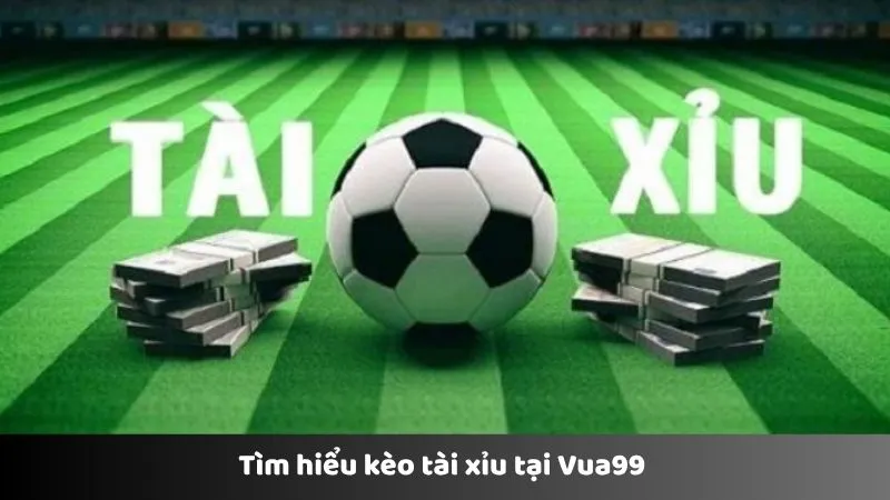 Tìm hiểu kèo tài xỉu tại Vua99 