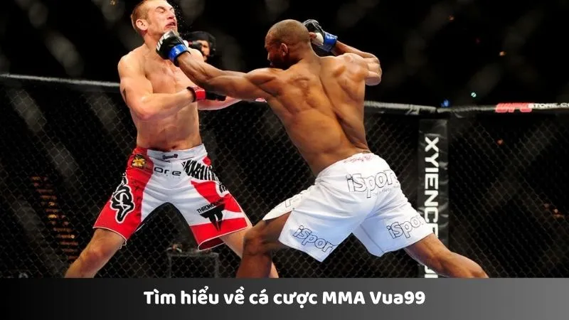 Tìm hiểu về cá cược MMA Vua99
