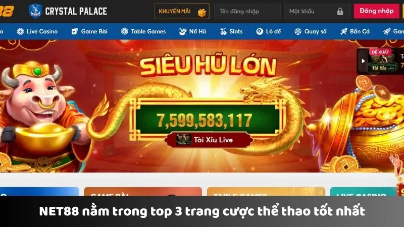 NET88 nằm trong top 3 trang cược thể thao tốt nhất