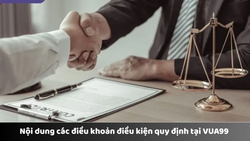 Nội dung các điều khoản điều kiện quy định tại VUA99